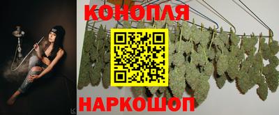 молекула духа Лесосибирск